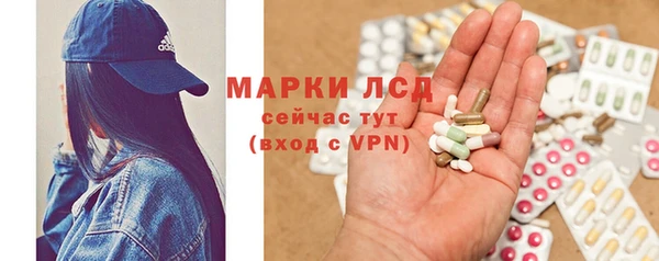 a pvp Аркадак