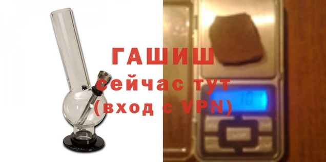 a pvp Аркадак