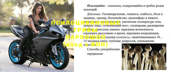 винт Армянск