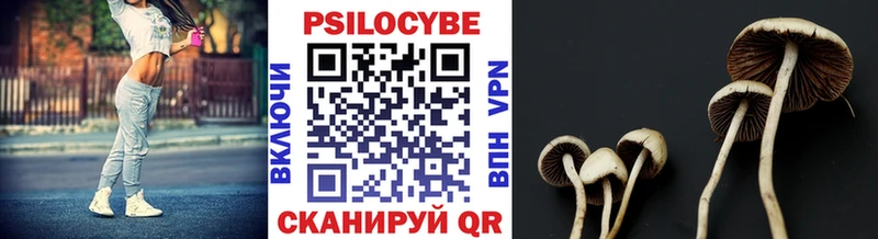 Галлюциногенные грибы Cubensis  Купить закладки  Наро-Фоминск 